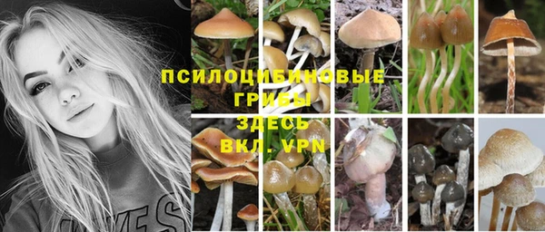 не бодяженный Нязепетровск