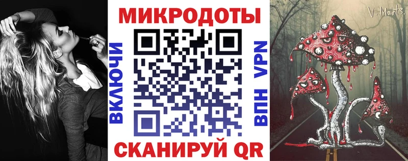 что такое   Тайга  Псилоцибиновые грибы мицелий 